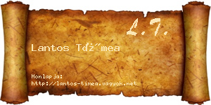 Lantos Tímea névjegykártya